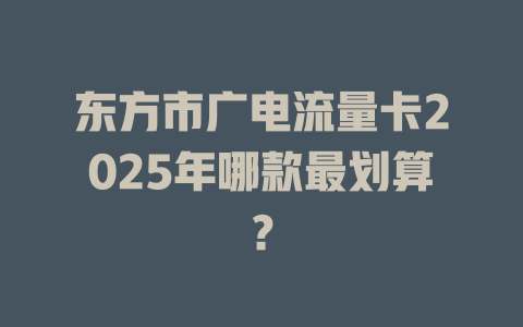 东方市广电流量卡2025年哪款最划算？