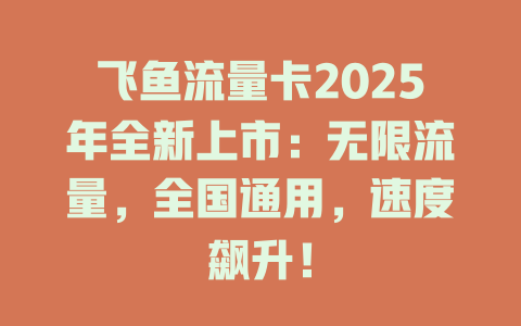 飞鱼流量卡2025年全新上市：无限流量，全国通用，速度飙升！