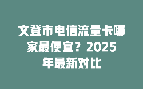 文登市电信流量卡哪家最便宜？2025年最新对比