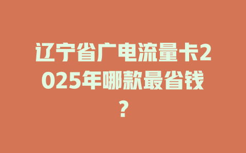 辽宁省广电流量卡2025年哪款最省钱？