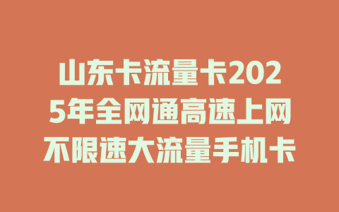 山东卡流量卡2025年全网通高速上网不限速大流量手机卡