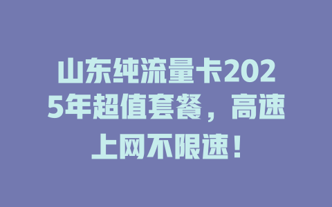 山东纯流量卡2025年超值套餐，高速上网不限速！