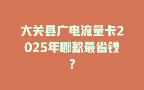 大关县广电流量卡2025年哪款最省钱？