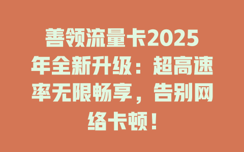 善领流量卡2025年全新升级：超高速率无限畅享，告别网络卡顿！