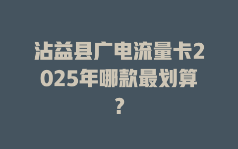 沾益县广电流量卡2025年哪款最划算？
