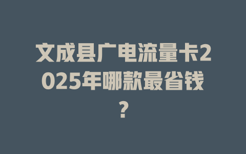 文成县广电流量卡2025年哪款最省钱？