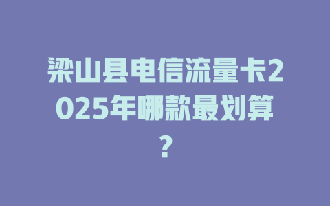 梁山县电信流量卡2025年哪款最划算？