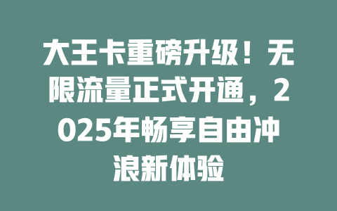 大王卡重磅升级！无限流量正式开通，2025年畅享自由冲浪新体验