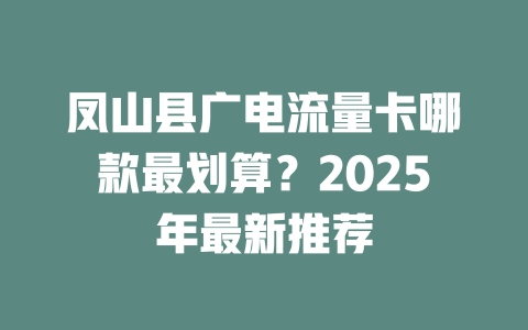 凤山县广电流量卡哪款最划算？2025年最新推荐