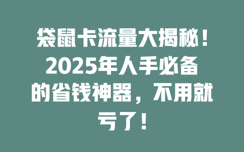 袋鼠卡流量大揭秘！2025年人手必备的省钱神器，不用就亏了！