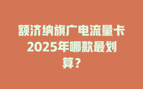 额济纳旗广电流量卡2025年哪款最划算?