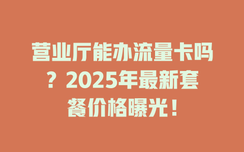 营业厅能办流量卡吗？2025年最新套餐价格曝光！