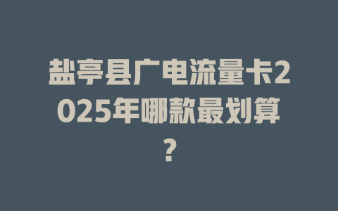 盐亭县广电流量卡2025年哪款最划算？