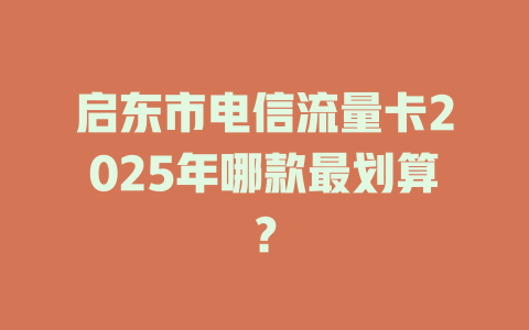 启东市电信流量卡2025年哪款最划算？