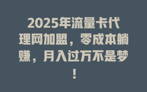 2025年流量卡代理网加盟，零成本躺赚，月入过万不是梦！