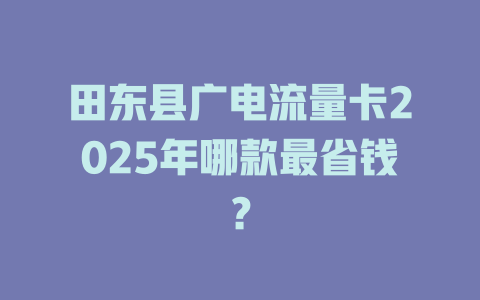 田东县广电流量卡2025年哪款最省钱？