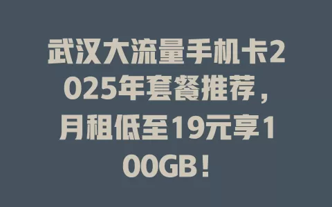 武汉大流量手机卡2025年套餐推荐，月租低至19元享100GB！