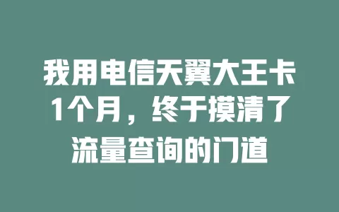 我用电信天翼大王卡1个月，终于摸清了流量查询的门道