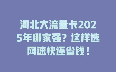 河北大流量卡2025年哪家强？这样选网速快还省钱！