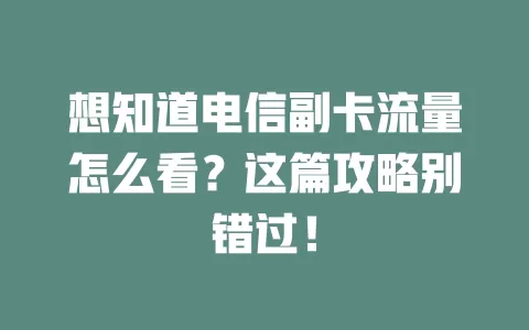 想知道电信副卡流量怎么看？这篇攻略别错过！