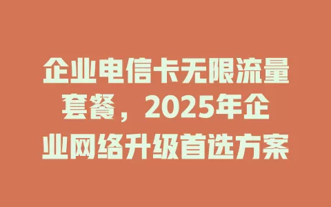 企业电信卡无限流量套餐，2025年企业网络升级首选方案