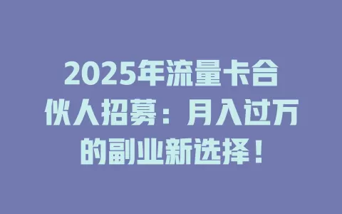 2025年流量卡合伙人招募:月入过万的副业新选择!
