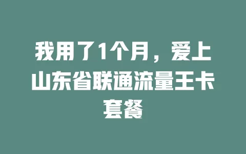我用了1个月，爱上山东省联通流量王卡套餐
