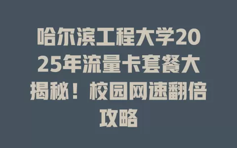 哈尔滨工程大学2025年流量卡套餐大揭秘！校园网速翻倍攻略
