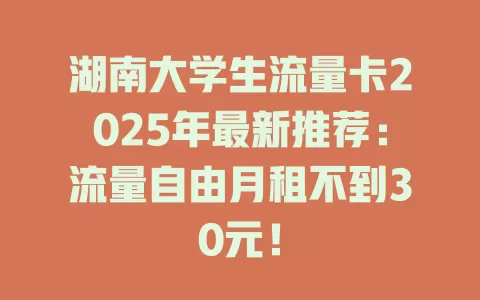 湖南大学生流量卡2025年最新推荐：流量自由月租不到30元！