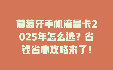 葡萄牙手机流量卡2025年怎么选？省钱省心攻略来了！