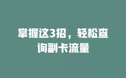 掌握这3招，轻松查询副卡流量
