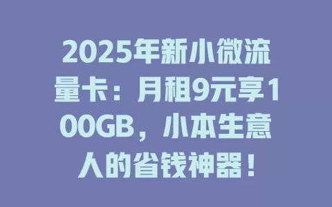 2025年新小微流量卡：月租9元享100GB，小本生意人的省钱神器！