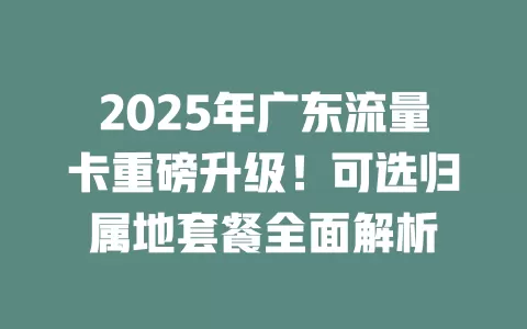 2025年广东流量卡重磅升级！可选归属地套餐全面解析