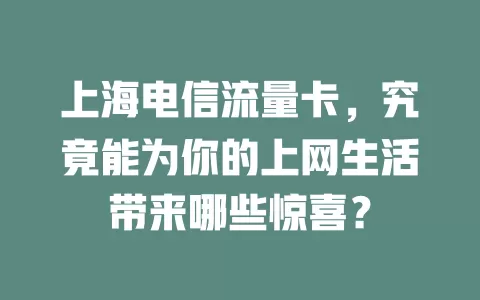 上海电信流量卡，究竟能为你的上网生活带来哪些惊喜？