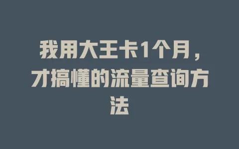 我用大王卡1个月，才搞懂的流量查询方法
