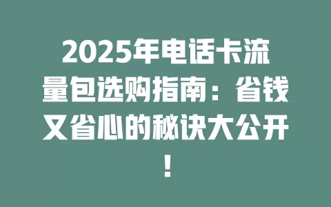 2025年电话卡流量包选购指南：省钱又省心的秘诀大公开！