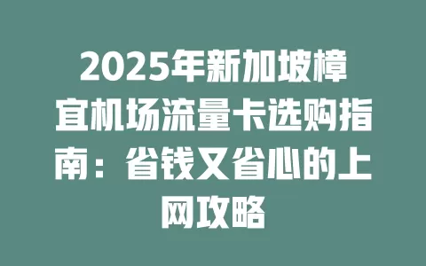 2025年新加坡樟宜机场流量卡选购指南：省钱又省心的上网攻略