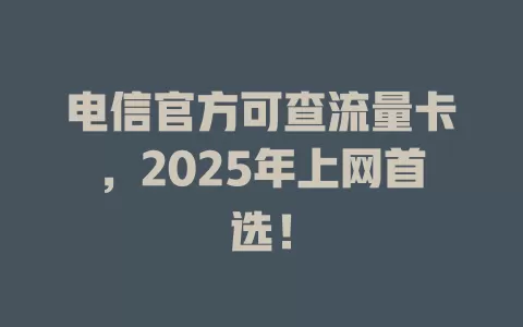 电信官方可查流量卡，2025年上网首选！