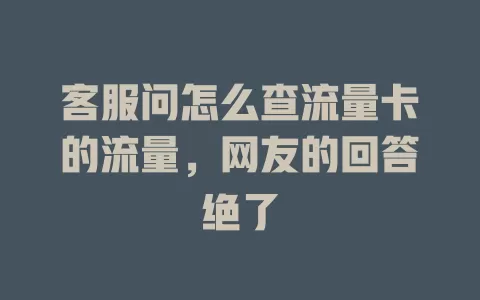 客服问怎么查流量卡的流量,网友的回答绝了