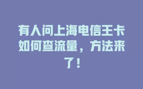 有人问上海电信王卡如何查流量,方法来了!