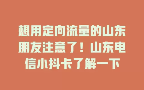 想用定向流量的山东朋友注意了!山东电信小抖卡了解一下
