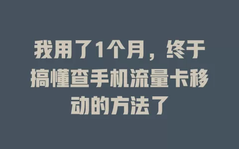 我用了1个月，终于搞懂查手机流量卡移动的方法了
