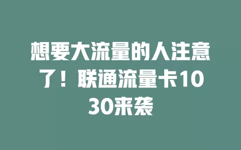 想要大流量的人注意了！联通流量卡1030来袭