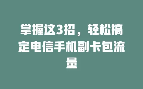 掌握这3招，轻松搞定电信手机副卡包流量