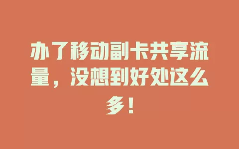 办了移动副卡共享流量，没想到好处这么多！