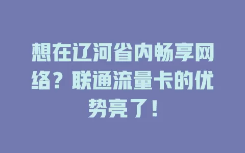 想在辽河省内畅享网络？联通流量卡的优势亮了！