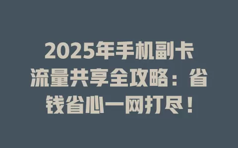 2025年手机副卡流量共享全攻略：省钱省心一网打尽！