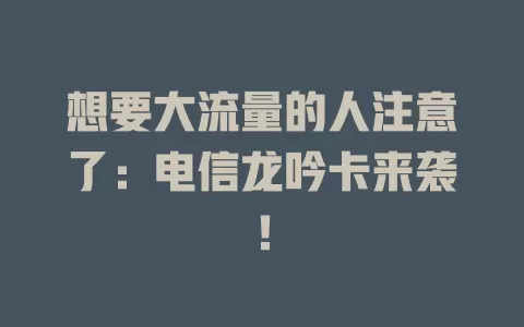 想要大流量的人注意了：电信龙吟卡来袭！
