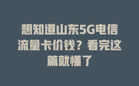 想知道山东5G电信流量卡价钱？看完这篇就懂了
