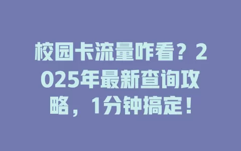 校园卡流量咋看？2025年最新查询攻略，1分钟搞定！